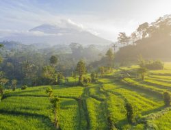 Rekomendasi Hotel di Garut untuk Liburan yang Nyaman