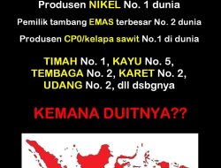 Indonesia Kaya Sumber Daya, Tapi Uangnya Hilang ke Siapa?