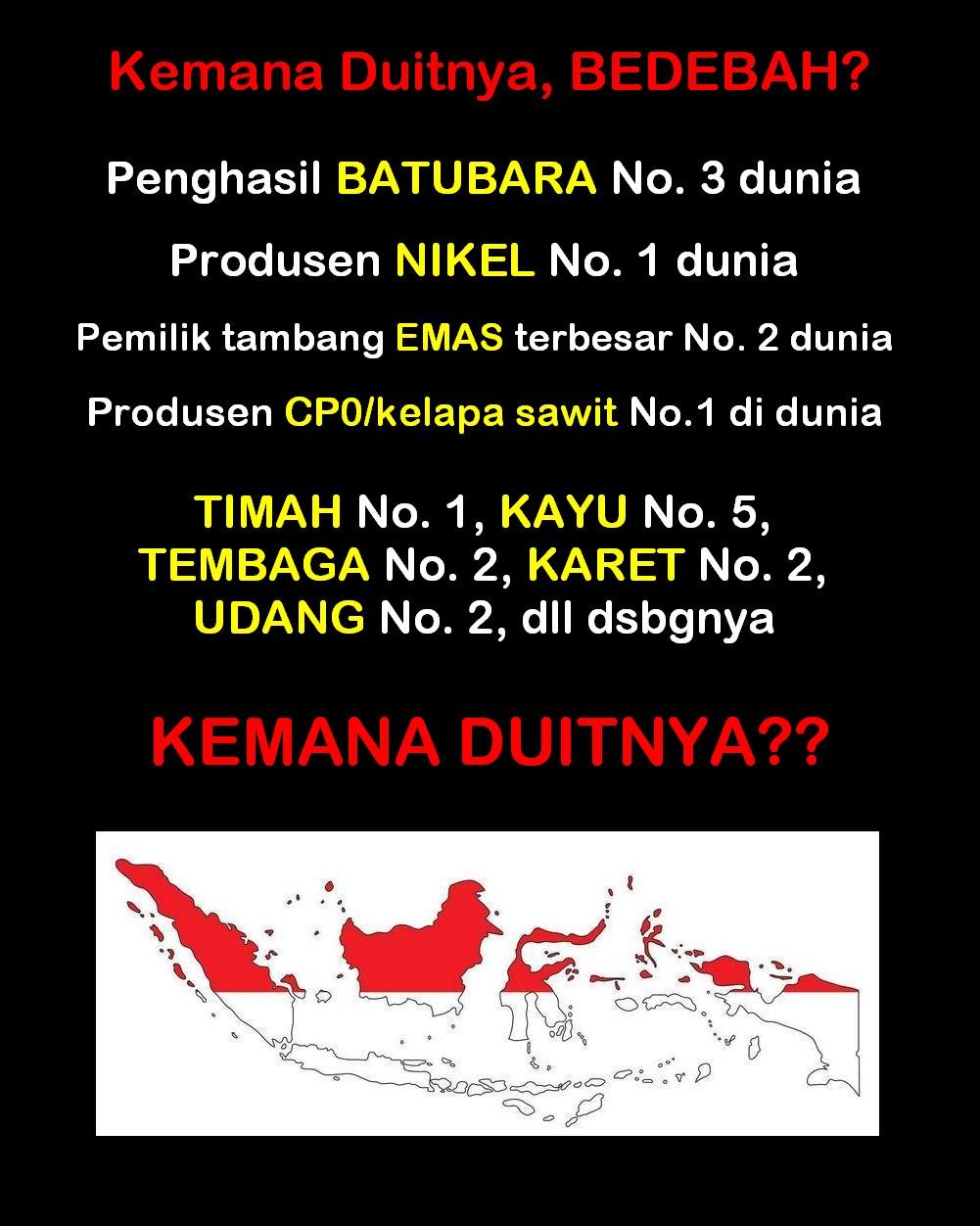 Indonesia Kaya Sumber Daya, Tapi Uangnya Hilang ke Siapa?