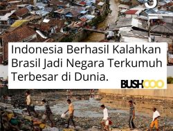 Indonesia Kalahkan Brasil, Jadi Negara Terkumuh di Dunia: Apa yang Salah?
