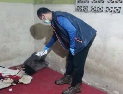 ABG Cilincing Paksa Siswi SD dengan Kabel Charger, Ini Kronologi Kejinya