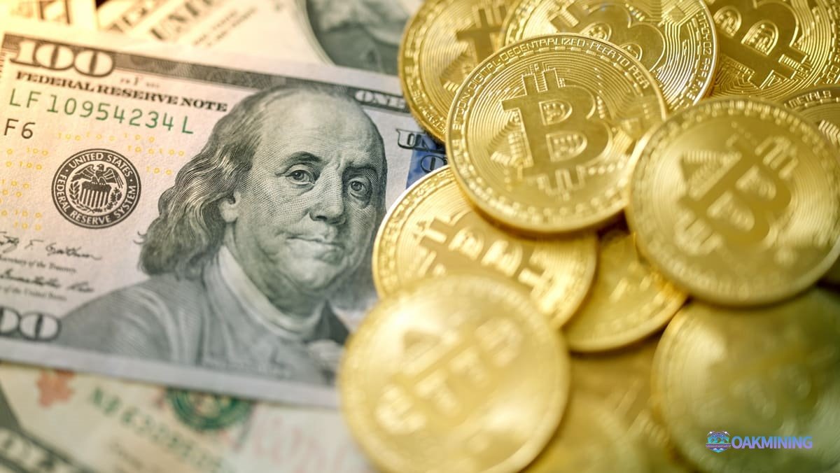 Bitcoin Bukan Cuma Disimpan! Ini Rahasia Hasilkan Passive Income dengan OAKMining