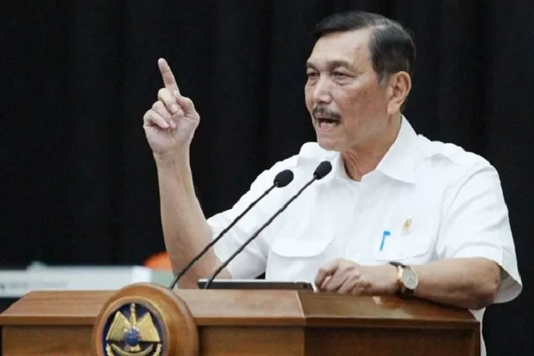 Luhut Tantang Kritikus: Tunggu 10 Tahun untuk Nilai Mega Proyek Food Estate!