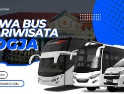 Sewa Bus Jogja 2025: Pilih Medium 30 Seat atau Big Bus 50 Seat