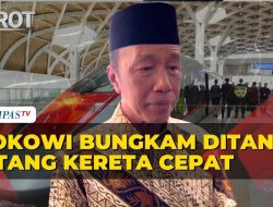 Tom Lembong Bongkar Fakta Mengejutkan di Balik Proyek Kereta Cepat Jokowi-China