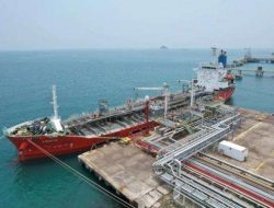 Intip Harga Beli Saham CDIA yang Diborong Presdir CDI Group!