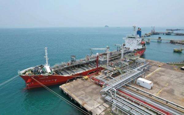 Intip Harga Beli Saham CDIA yang Diborong Presdir CDI Group!