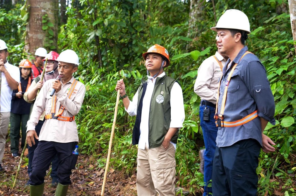 Kemenhut Masuk 10 Besar Kementerian Terbaik, Ini Bukti Nyata Perubahan yang Terjadi!