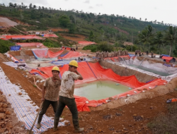 3 Kg Emas Sehari Dicuri! Siapa Dalang di Balik Penambang Ilegal di Sirkuit Mandalika yang Tak Bisa Bahasa Indonesia?