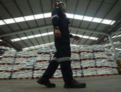 Pupuk Subsidi Turun 20%! Ini Langkah Prabowo & Dampaknya Menurut Pupuk Indonesia