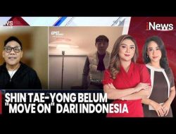 Shin Tae-yong Kembali Latih Timnas Indonesia? Pengamat Bocorkan Fakta Mengejutkan Ini!