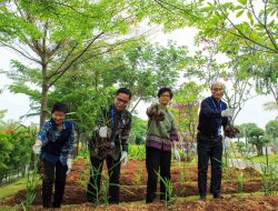 Bintang Toedjoe & WHO: Kisah Jahe Merah Lokal yang Mendunia