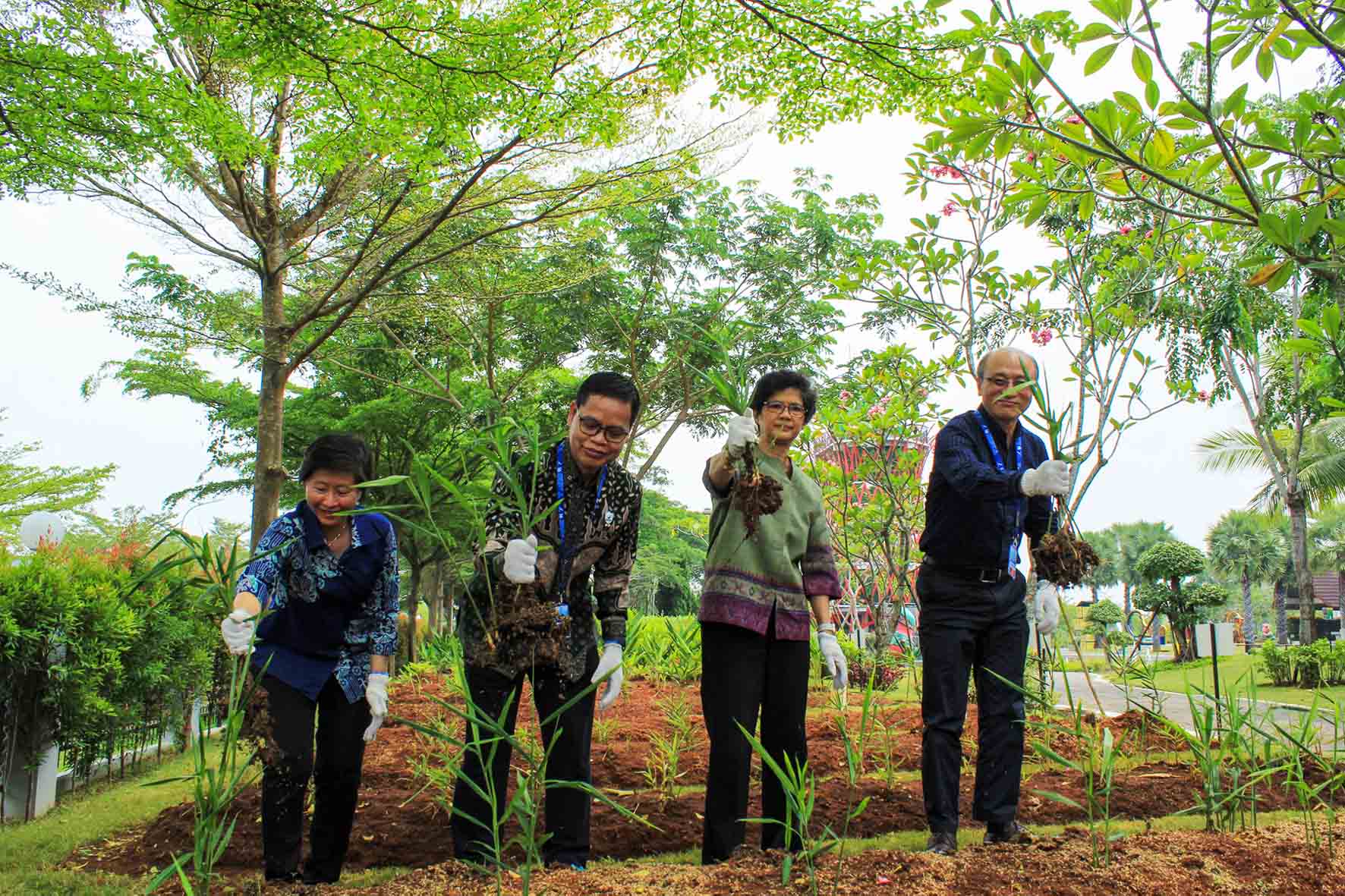 Bintang Toedjoe & WHO: Kisah Jahe Merah Lokal yang Mendunia