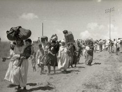 Nakba 1948: Misteri Kelam Pengusiran 800.000 Warga Palestina yang Terus Berulang