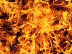 Korsleting Mengerikan! Angkot JakLingko Ludes Terbakar di Jatinegara, Ini Kronologinya