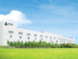 SOHO Saham Melonjak 34%! Rahasia Bisnis Farmasi yang Kuasai Pasar Indonesia