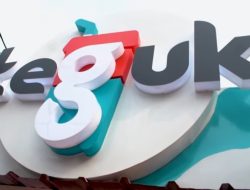 TGUK (Platinum Wahab) Geser Rp 42,9 Miliar Dana IPO, Fokus ke Bisnis Frozen Food yang Tembus Rp 55 Triliun