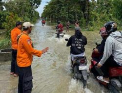 Banjir Grobogan Rendam 2.263 Rumah, Tanggul Tuntang Jebol Jadi Pemicu Utama?
