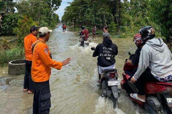 Banjir Grobogan Rendam 2.263 Rumah, Tanggul Tuntang Jebol Jadi Pemicu Utama?