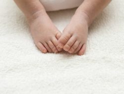 Bayi Misterius dalam Kotak Stirofoam Sleman: Kondisinya Mengejutkan, Ini yang Ditemukan Bersamanya