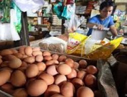 Harga Cabai Anjlok Drastis! Tapi Siap-Siap, 5 Bahan Pokok Ini Justru Melambung Tinggi