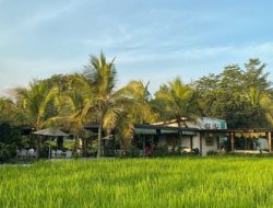 Coconut Coffee & Eatery Palagan: Kafe Paling Kelapa di Jogja yang Bikin Penasaran