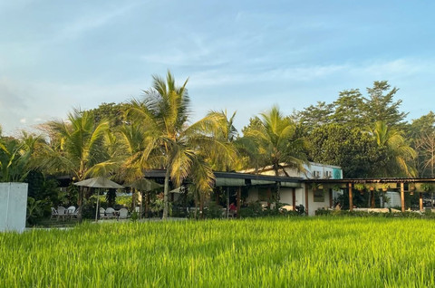 Coconut Coffee & Eatery Palagan: Kafe Paling Kelapa di Jogja yang Bikin Penasaran