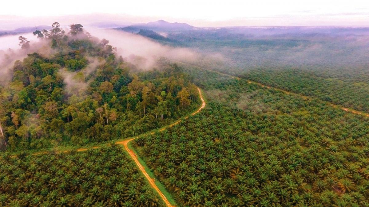 Laba PGUN Meledak 549% di 2025, Saham Haji Isam Ini Cetak Rp 101 Miliar!