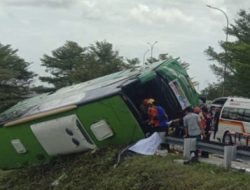 Kronologi Mengerikan Kecelakaan Bus di Tol Pemalang: 4 Tewas, Bus Terguling Usai Melaju Kencang