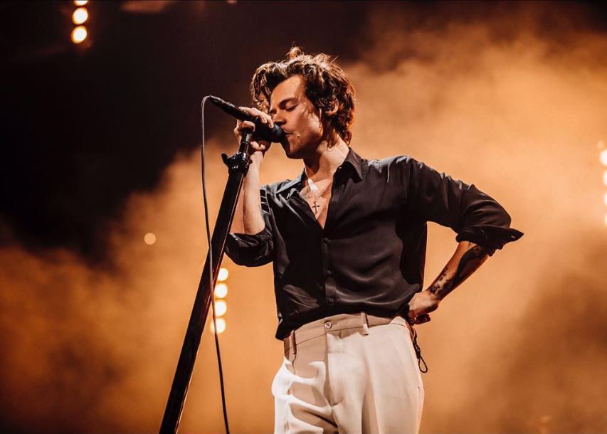 Harry Styles: Fakta Mengejutkan dari One Direction hingga Jadi Superstar Solo