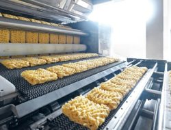 Melemahnya Daya Beli, 2 Saham F&B & Unggas Ini Justru Siap Cuan?