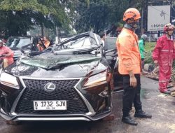 Tragis! Mobil Mewah Lexus Tergilas Pohon Tumbang di Pondok Indah, 1 Nyawa Melayang