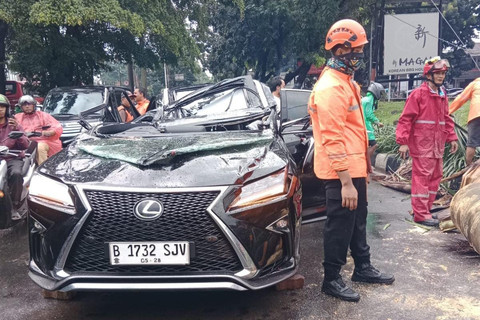 Tragis! Mobil Mewah Lexus Tergilas Pohon Tumbang di Pondok Indah, 1 Nyawa Melayang