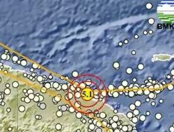 Gempa M 5.1 Guncang Keerom Papua! Cek Dampak & Titik Episenter Terkini