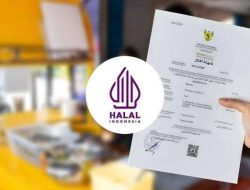 Biaya Sertifikasi Halal 2025: UMK Bisa GRATIS, Ini Caranya!