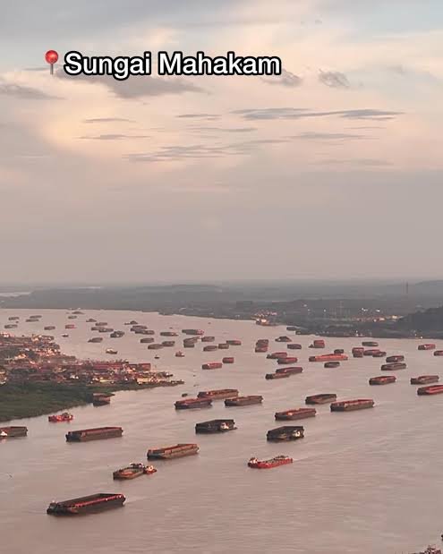 Miliaran Rupiah Menguap: Rahasia Gelap Kekayaan Para Raja Batubara yang Bisa Lunasi Utang Negara