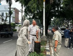 Tragis! Pohon Tumbang di Pondok Indah Tewaskan Pengemudi, DKI Buru-buru Pasang Ribuan Penyangga