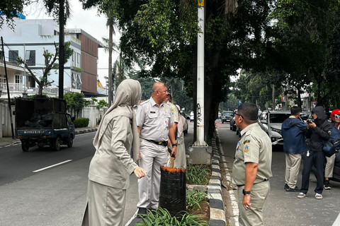 Tragis! Pohon Tumbang di Pondok Indah Tewaskan Pengemudi, DKI Buru-buru Pasang Ribuan Penyangga