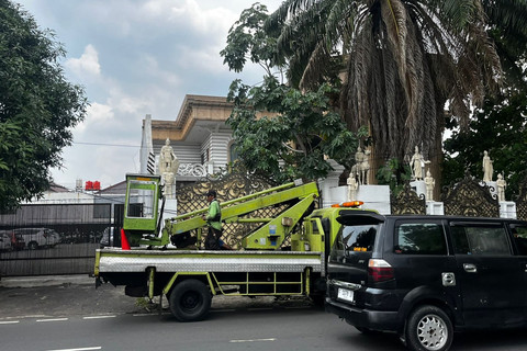 Tragis! Pohon Palem Tua Tumbang di Pondok Indah Tewaskan Pengemudi Lexus, Ternyata Ini Riwayat Kelamnya