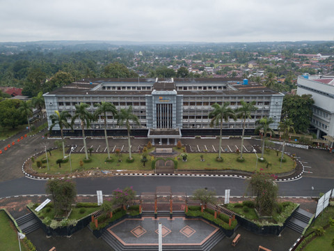 PTBA Ubah Batu Bara Jadi Pupuk BA Grow: Inovasi yang Bikin Tanah Subur & Petani Untung