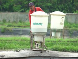 Misteri eFeeder eFishery: Alat Canggih yang Mati Mengonggok & Nasib Petambak yang Terlupakan