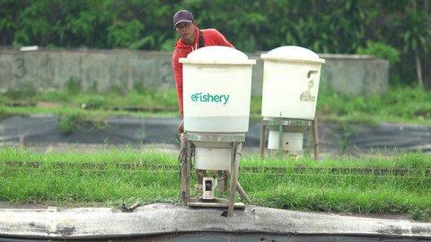 Misteri eFeeder eFishery: Alat Canggih yang Mati Mengonggok & Nasib Petambak yang Terlupakan