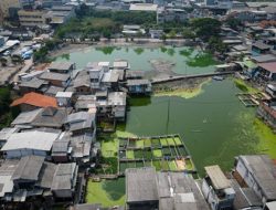 Kampung Apung Kapuk Teko: Potret Getir Warga Jakarta yang Hidup di Atas Air Sejak 1990-an