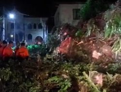 Pohon Beringin Raksasa Tumbang & Tutup Jalan Kapten Muslihat Bogor, Begini Kronologinya!