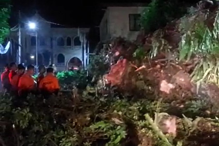 Pohon Beringin Raksasa Tumbang & Tutup Jalan Kapten Muslihat Bogor, Begini Kronologinya!