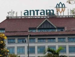 ANTM Cetak Laba Rp 6,61 Triliun! Ini Rahasia Di Balik Kenaikan Hampir 3x Lipat