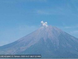 Gunung Semeru Erupsi 2025: Fakta Mencengangkan dan Zona Bahaya yang Wajib Diketahui