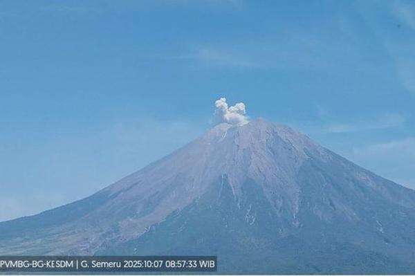 Gunung Semeru Erupsi 2025: Fakta Mencengangkan dan Zona Bahaya yang Wajib Diketahui