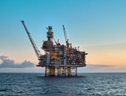 OPEC+ Bakal Naikkan Produksi Minyak, Harga Anjlok! Ini Dampaknya Buat Pasar
