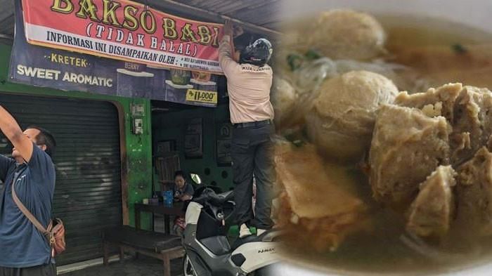 TERUNGKAP! Warung Bakso Legendaris Sejak 1990-an di Bantul Ternyata Pakai Babi, Banyak Pelanggan Berhijab Tak Sadar